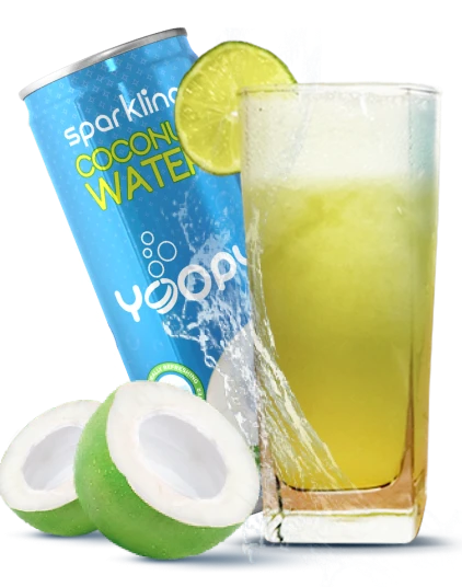 Frothy Coconut Mojito